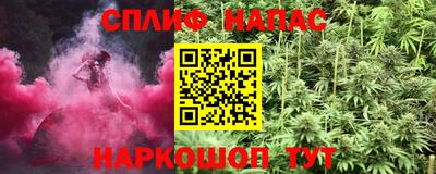 наркотики Кингисепп